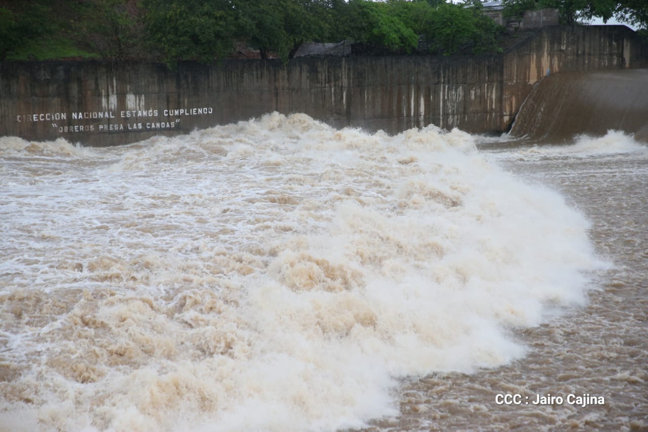 CANOAS1